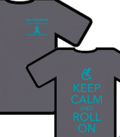 The COLTRAIN Team Tshirt