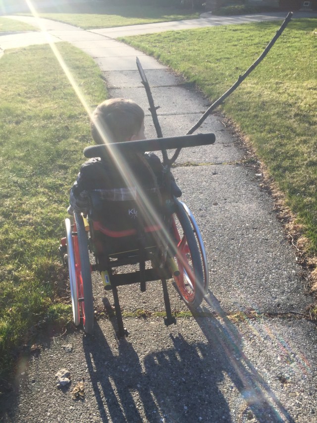 And sometimes rolls! His crutch holder makes a great stick holder.